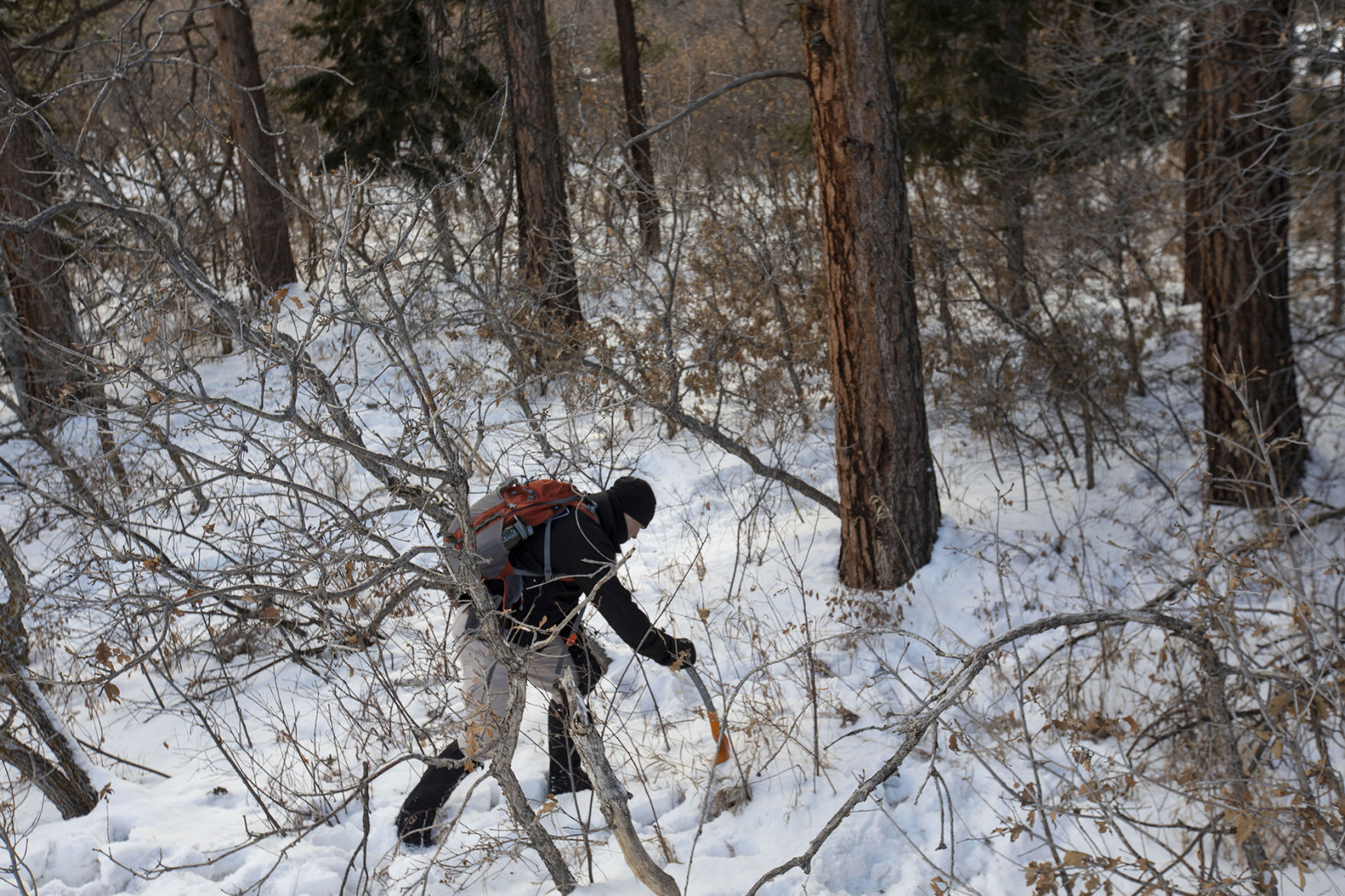 021420-news-gannonsearch 01.jpg